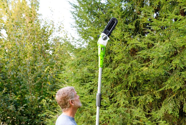 The Bob Vila Team Tests Pole Saws The Bob Vila Team Tests Pole Saws