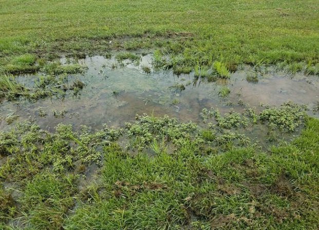 6 Smart Ways to Prevent a Soggy Yard with Every Rain Shower